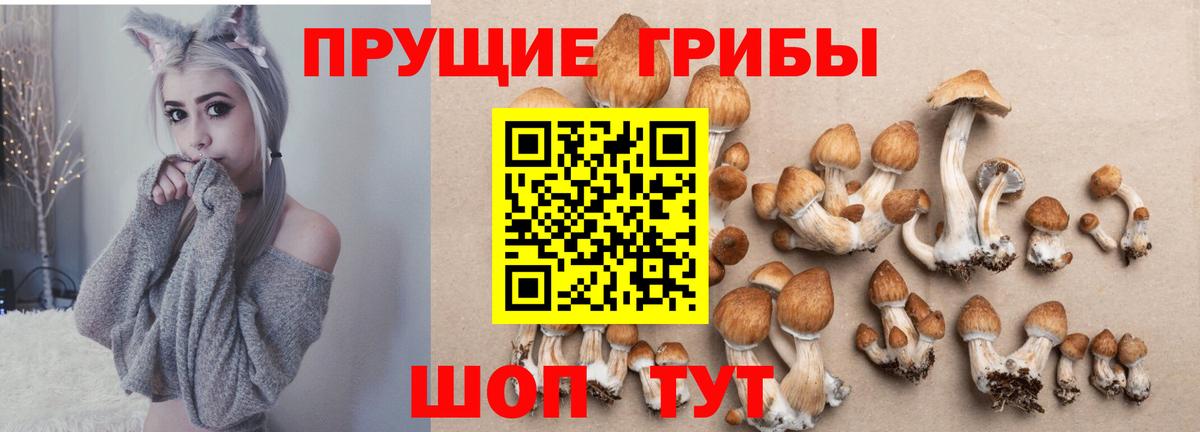 Псилоцибиновые грибы мицелий  Вход с VPN  Каспийск 